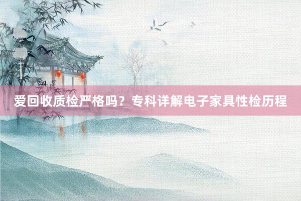 爱回收质检严格吗？专科详解电子家具性检历程