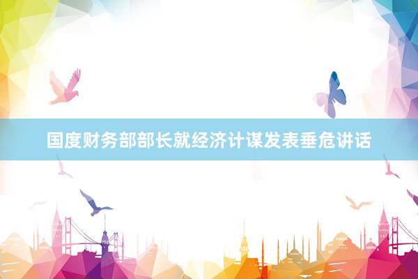 国度财务部部长就经济计谋发表垂危讲话