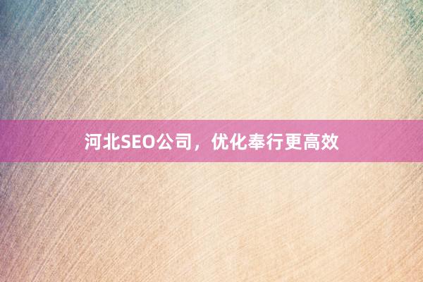 河北SEO公司，优化奉行更高效